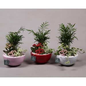 Keramiek moon 3 assortie met arrangement D18