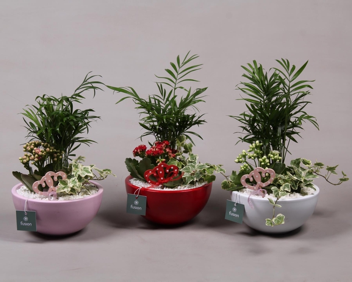 <h4>Keramiek moon 3 assortie met arrangement D18</h4>