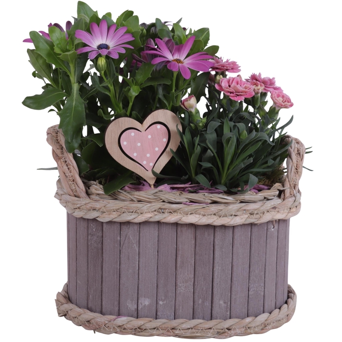 <h4>Mothersday Arr. Outdoor Wooden Pot Oval Waterhyacint Rim ø22cm2P</h4>