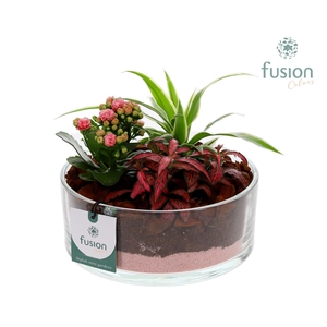 Glazen cilinderschaal met Arrangement