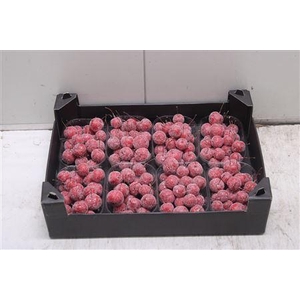 F-malusappel Glitter Kerstrood