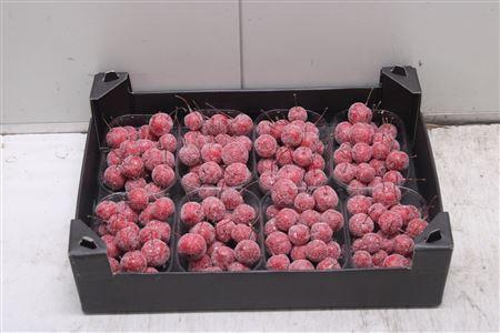 <h4>F-malusappel Glitter Kerstrood</h4>