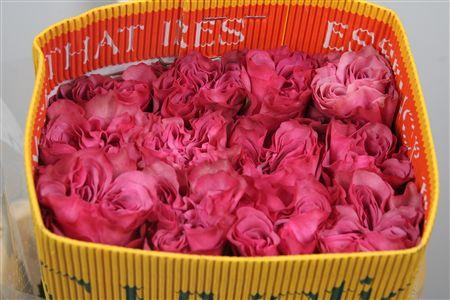 <h4>R Gr Country Blues Ec</h4>