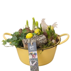 Arr.   Tuinplanten L%