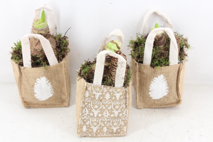 <h4>arr4 Amaryllis MB - Jute tas x10 mix</h4>