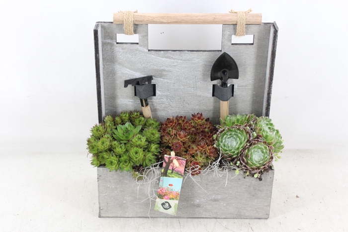 <h4>arr4 Semp JS - Hout tuinset 338/4</h4>