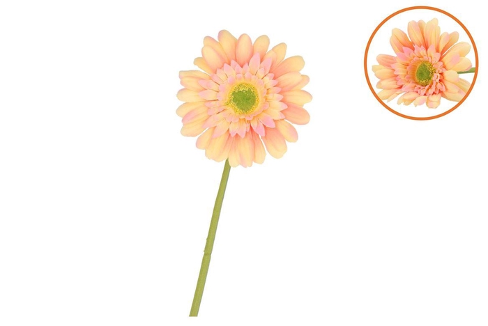 <h4>Silk Gerbera Peach/light Pink 72cm</h4>