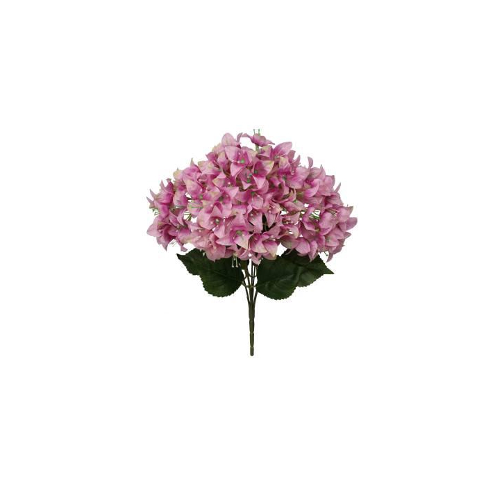 <h4>Bunch Bougainvillea L46W24H24</h4>