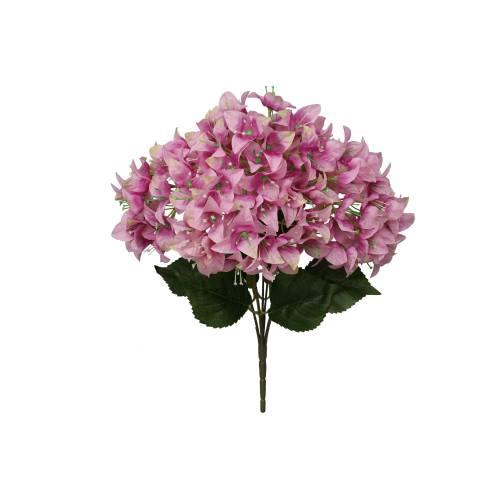 Bunch Bougainvillea L46W24H24