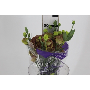 LISIANTHUS ROSANNE TERRACOTA