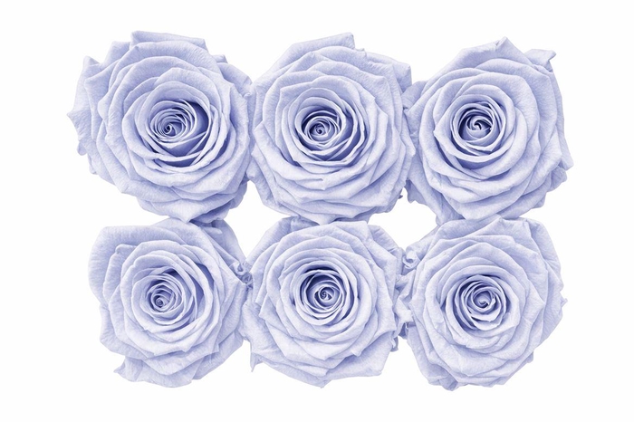 <h4>Ro Pres Classic Lavender</h4>
