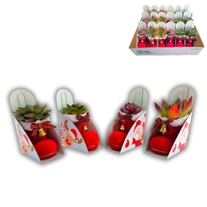 Concepts® - Christmas Boot Mix