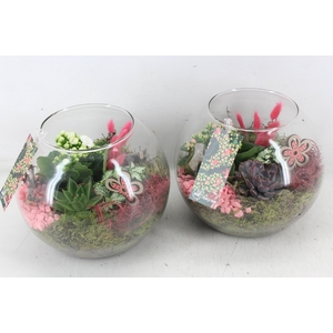 arr2 MB - Glas bol x2 - roze