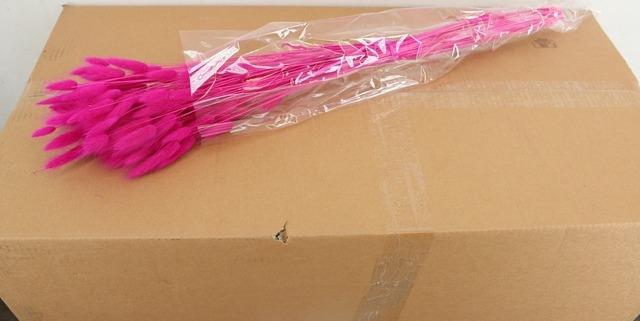 <h4>DF Lagurus Bs 50g/70cm Fuchsia</h4>