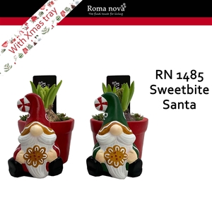 Arrangementen Hyacinthus 6%