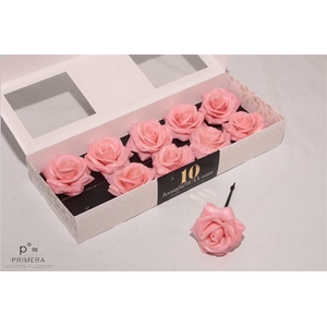 Roos Wax Zijde 120 Apricot (versilia)