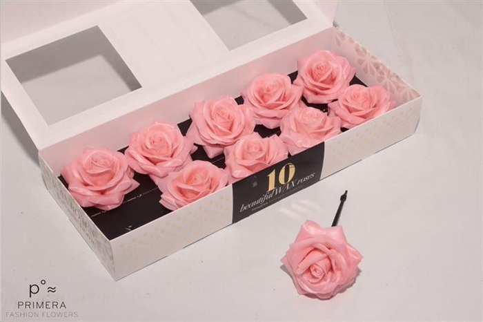 <h4>Roos Wax Zijde 120 Apricot (versilia)</h4>