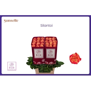 R GR SILANTOI@