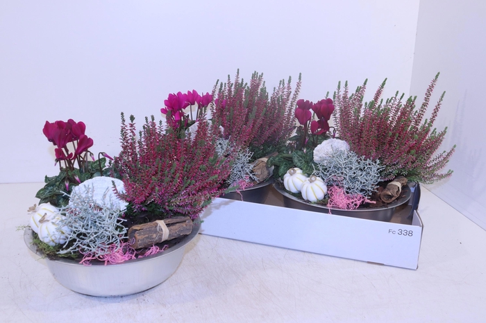 <h4>ARR TUINPLANTEN</h4>