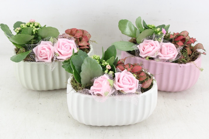 <h4>arr2 JS - Ker. ovaal mix 335/6 - roze</h4>