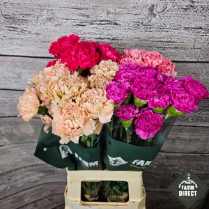 Di St Gemengd In Fust Mix