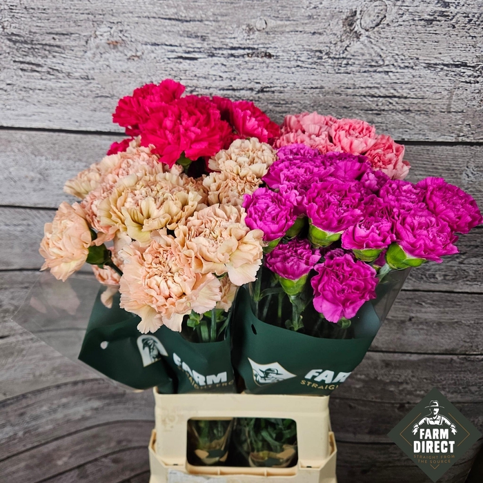 <h4>Di St Gemengd In Fust Mix</h4>