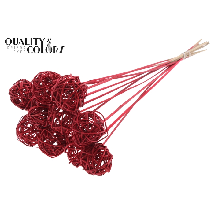 <h4>Bruce Ball 5cm on stem Red</h4>