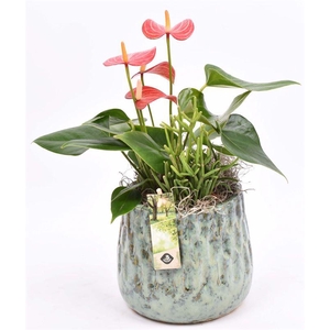 Keramiek pot gr/bl 11/13cm