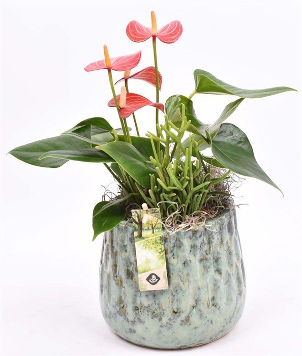 <h4>Keramiek pot gr/bl 11/13cm</h4>