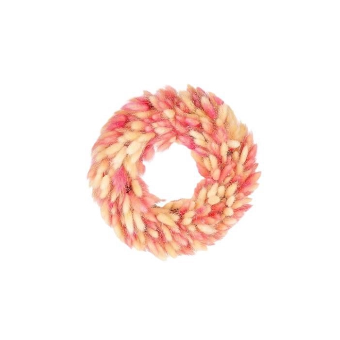 <h4>Wreath Lagurus D30</h4>