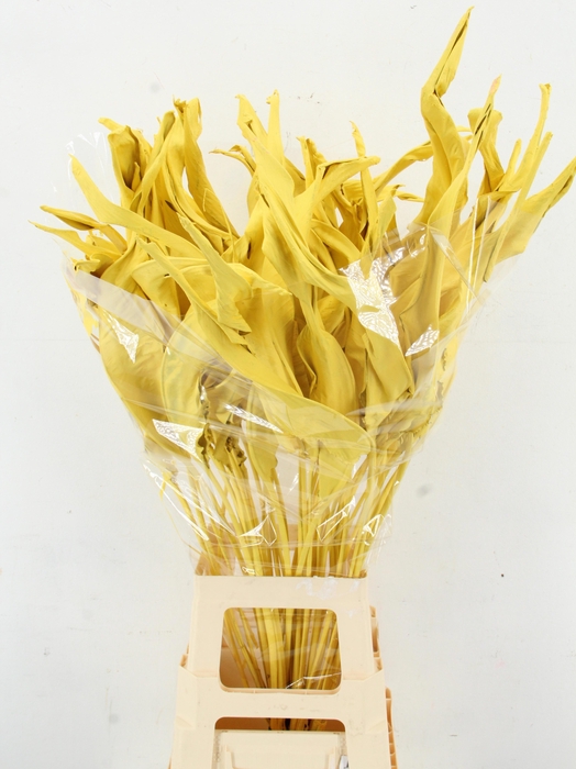 <h4>DROOGBL BEWERKT H%</h4>