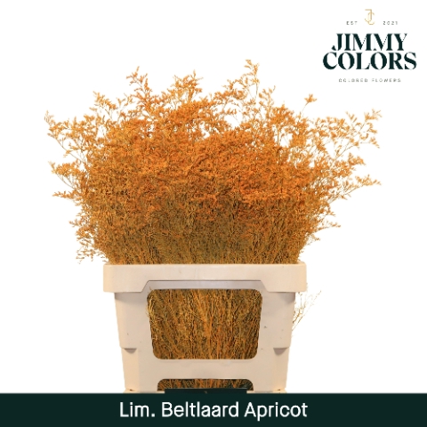 <h4>Lim Bel L70 Apricot</h4>