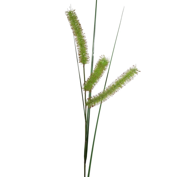 Kunstplanten Carex Long Spiculate 132cm