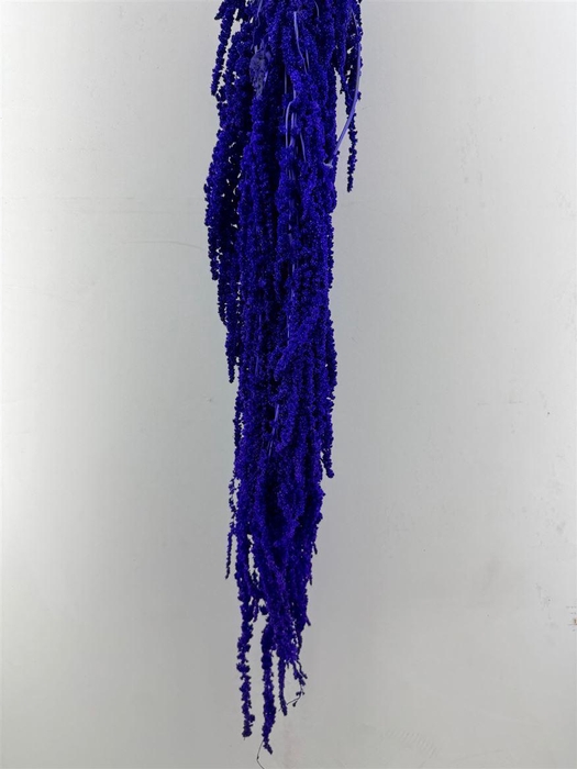 <h4>Pres Amaranthus Caud Dark Lavender Bunch</h4>