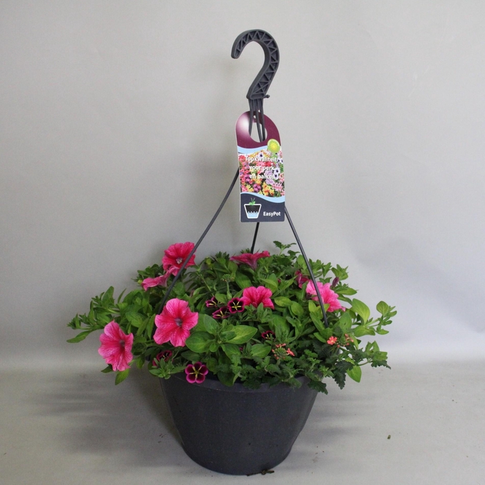 Hangpotten 37 cm met waterreservoir Mix 07 Good Night mix