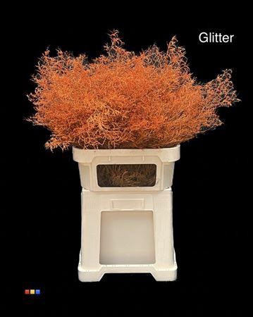 <h4>Limonium Orange + Glitter Bio</h4>