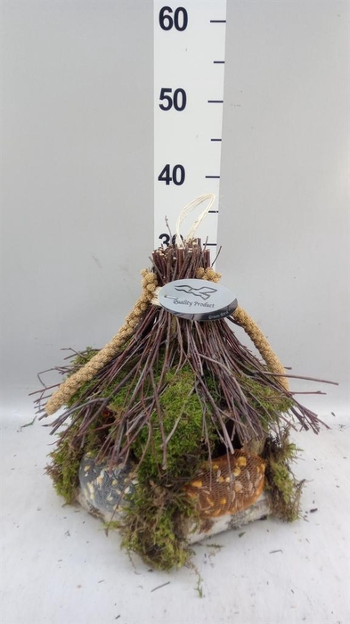 <h4>Decoratie  ..Vogelzaadfiguur  H%</h4>