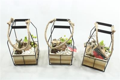 <h4>4192 AMAR BLACK LANTAARN</h4>