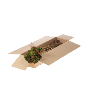 Pine C Ct Thr Sb Gre 10pc