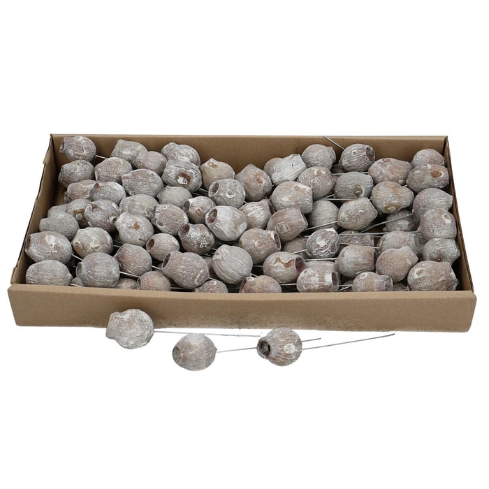 <h4>Droogdeco BellGums/draad x100</h4>