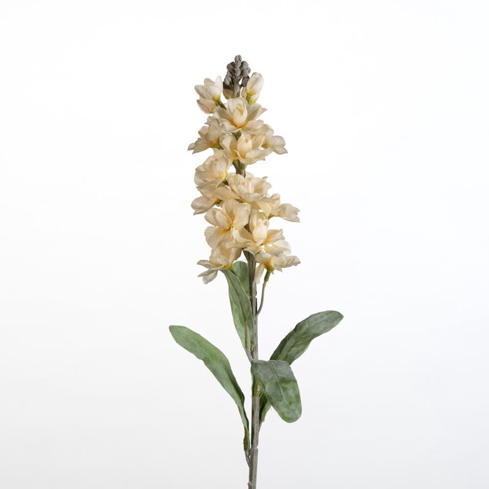 <h4>AF Matthiola L78cm peach</h4>