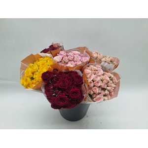 Mono Trosroos ass. x 10 L4