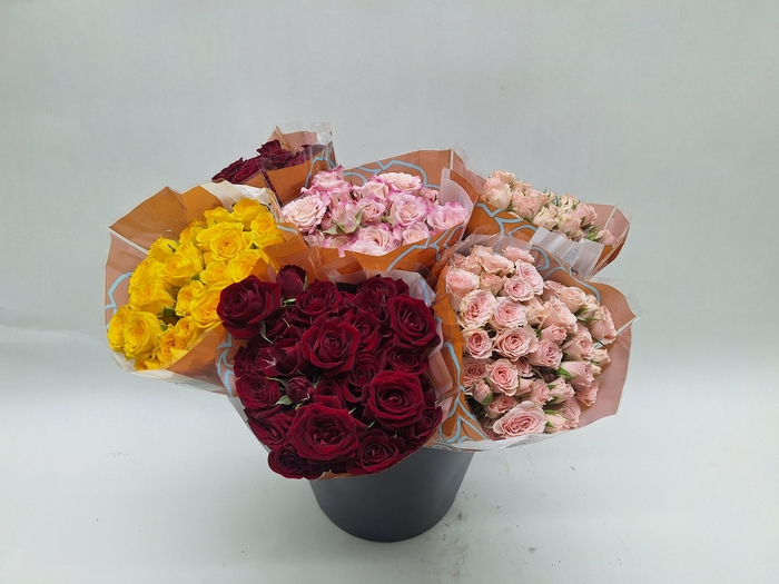 <h4>Mono Trosroos Ass. X 10 L4</h4>