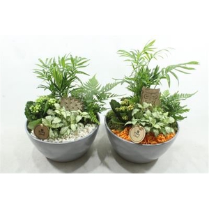 8504 GREY INDOOR ORANJE/WIT