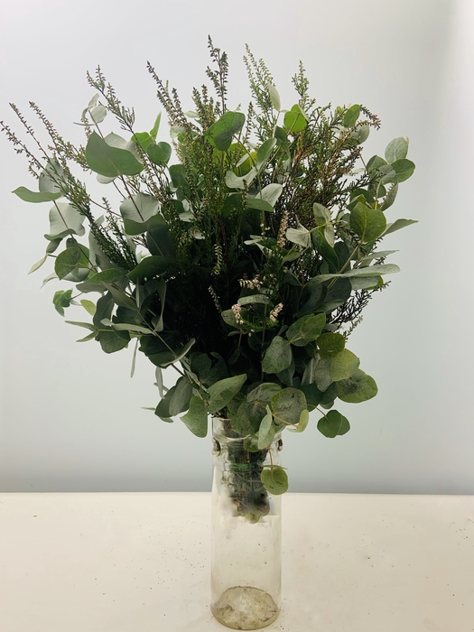 <h4>CINEREA 150 + ERICA</h4>