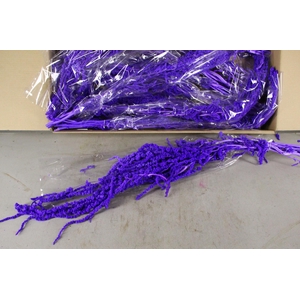 PF Amaranthus Hang Milka Bs