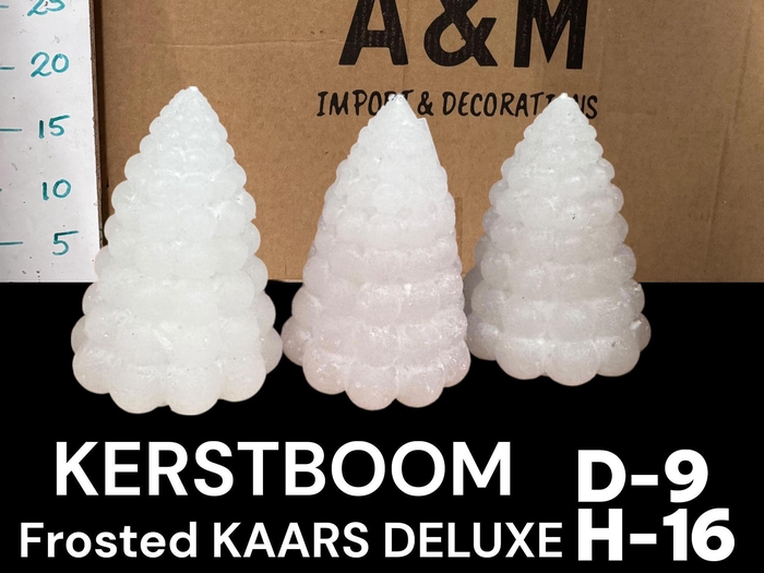 <h4>HUIS EN TUINDECO H%</h4>