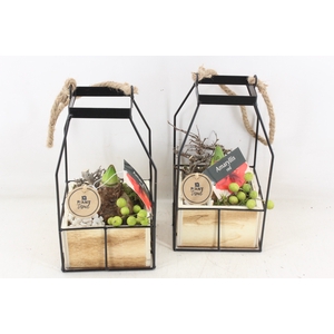 arr4 Amaryllis PL - Metaal lantaarn hout 4kant