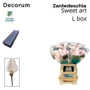 ZANT SWEET ART L BOX