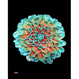 Chr T Altaj Papagayo